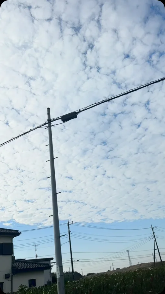 10月12日の出店投稿に掲載された空の写真